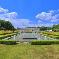 都立神代植物公園 220508